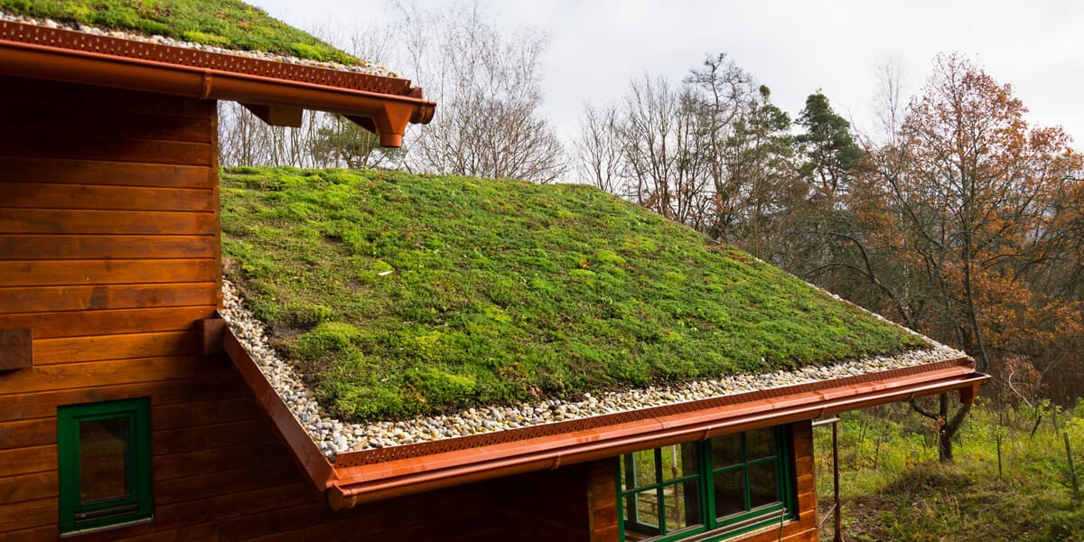A green roof