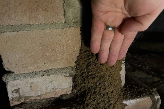 termite mud mound against brickwork