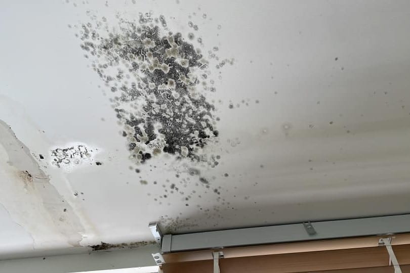 Black mould on plasterboard ceiling - not fun!